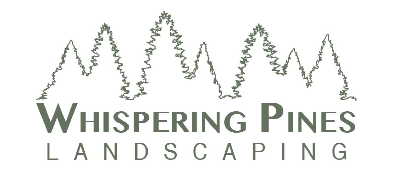 Voices of Praise 2024 Choir